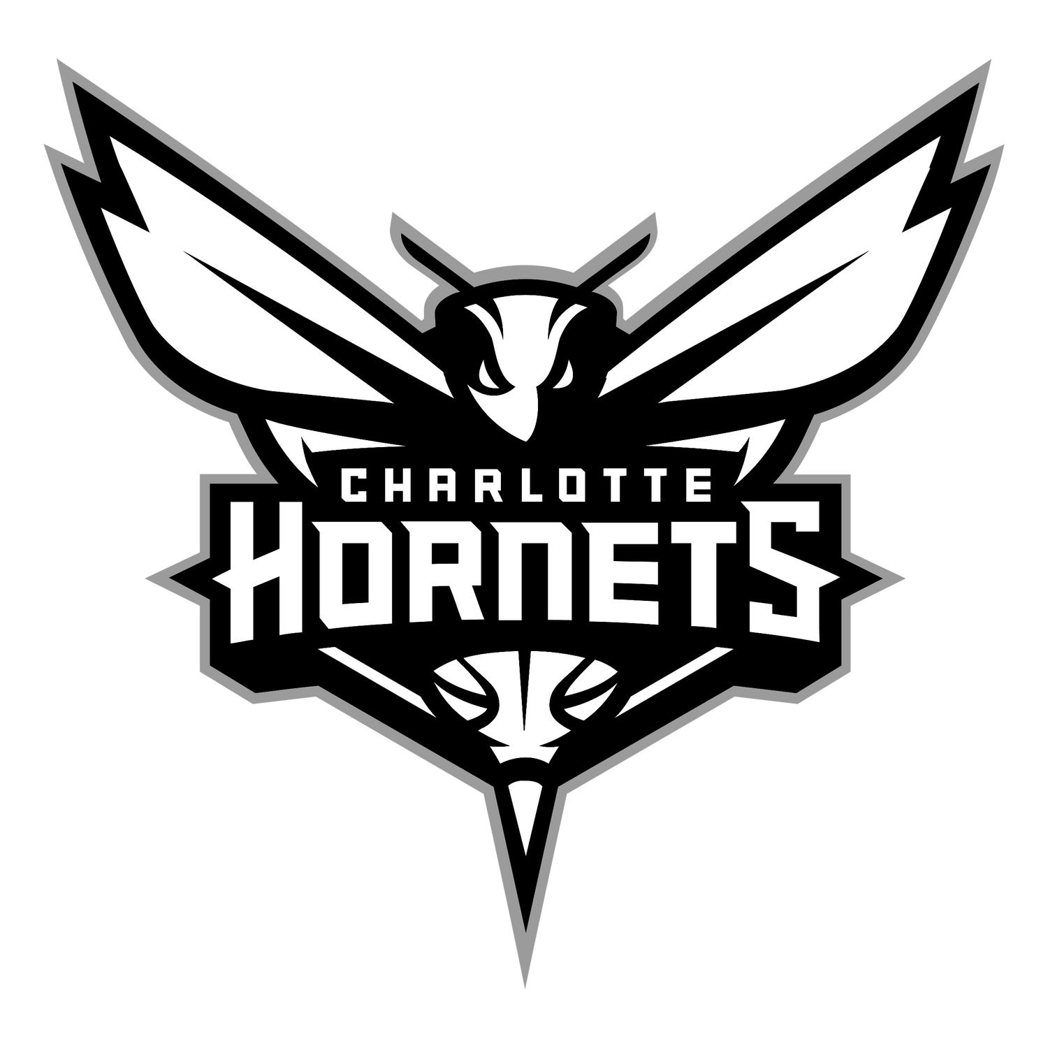 Charlotte Hornets