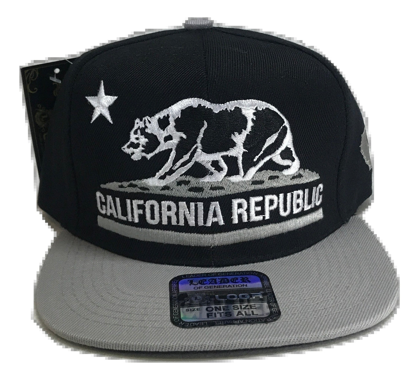 California Republic Snapback | Multi Color