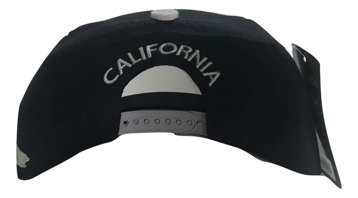 California Republic Snapback | Multi Color