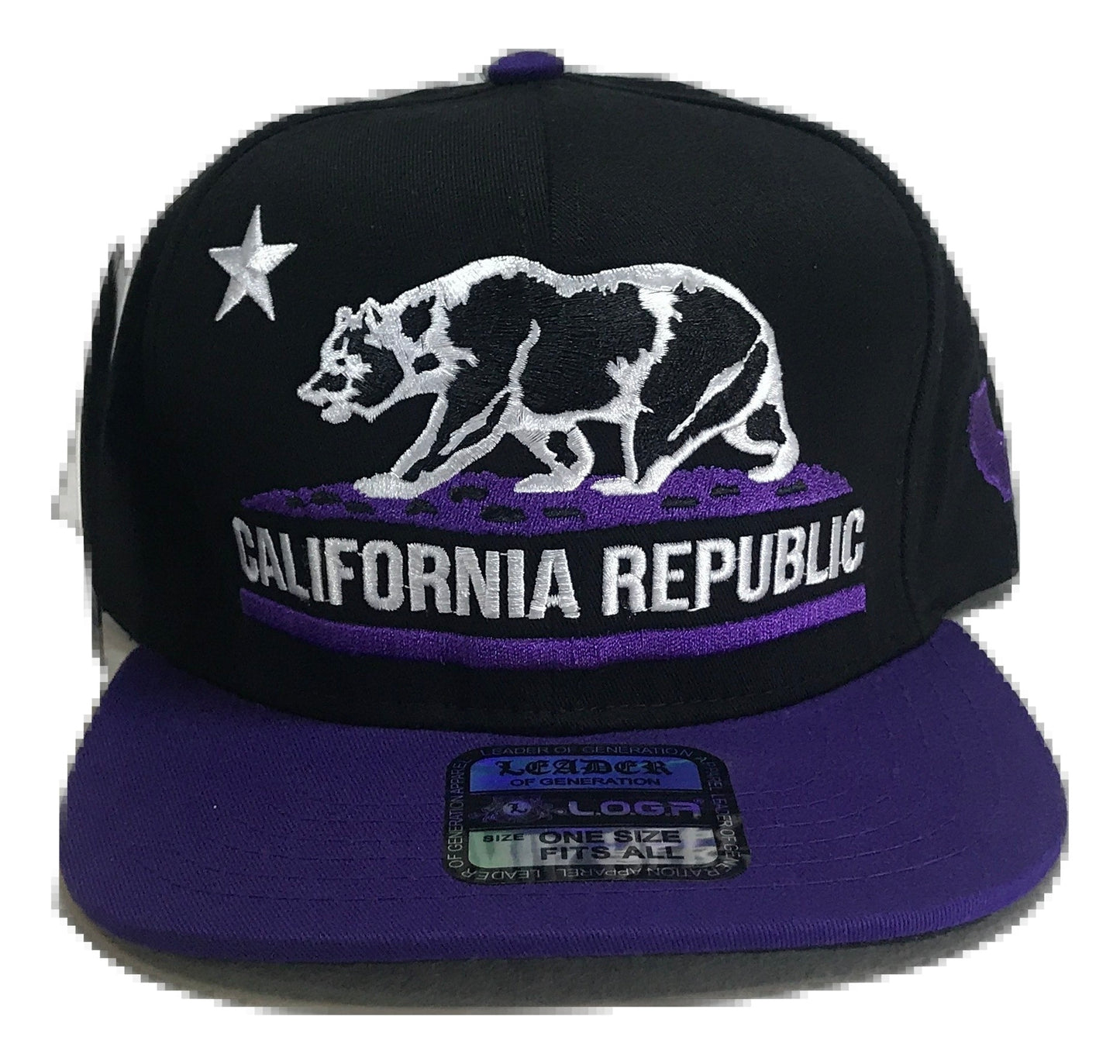 California Republic Snapback | Multi Color