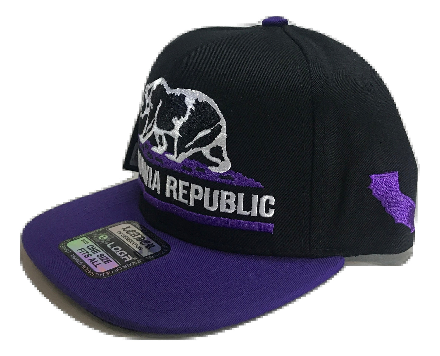California Republic Snapback | Multi Color