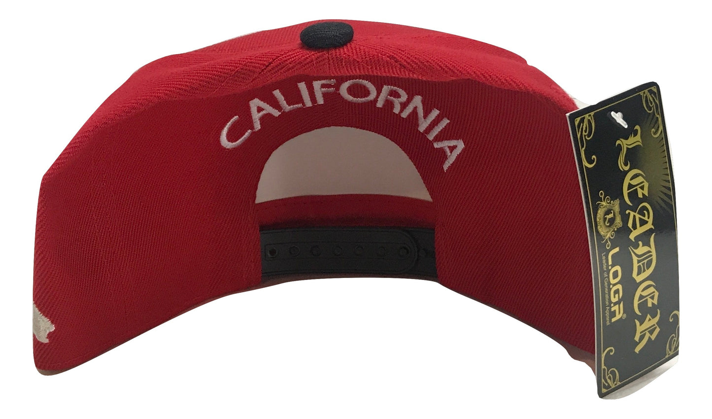 California Republic Snapback | Multi Color