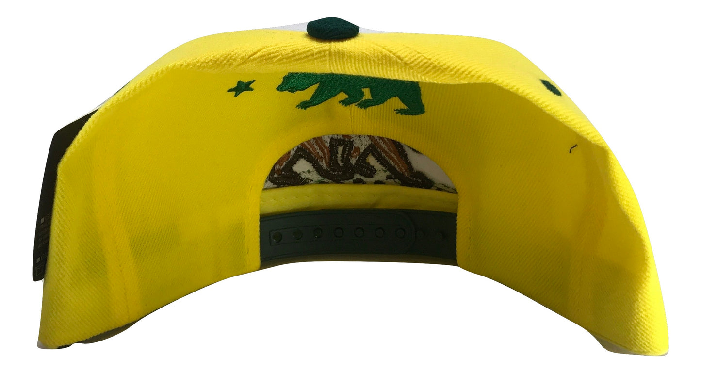 California Republic Snapback Multi Color