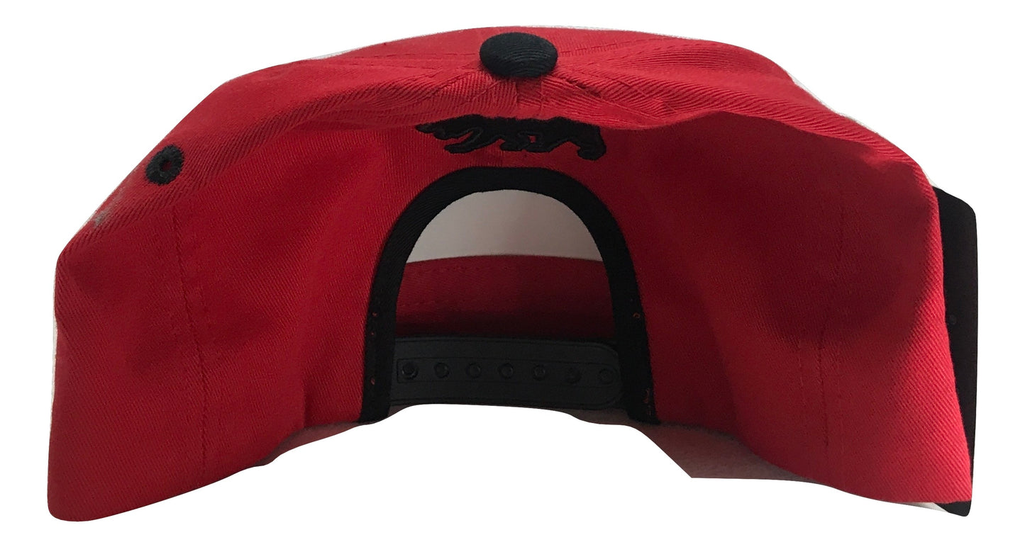 California Republic Snapback Multi Color