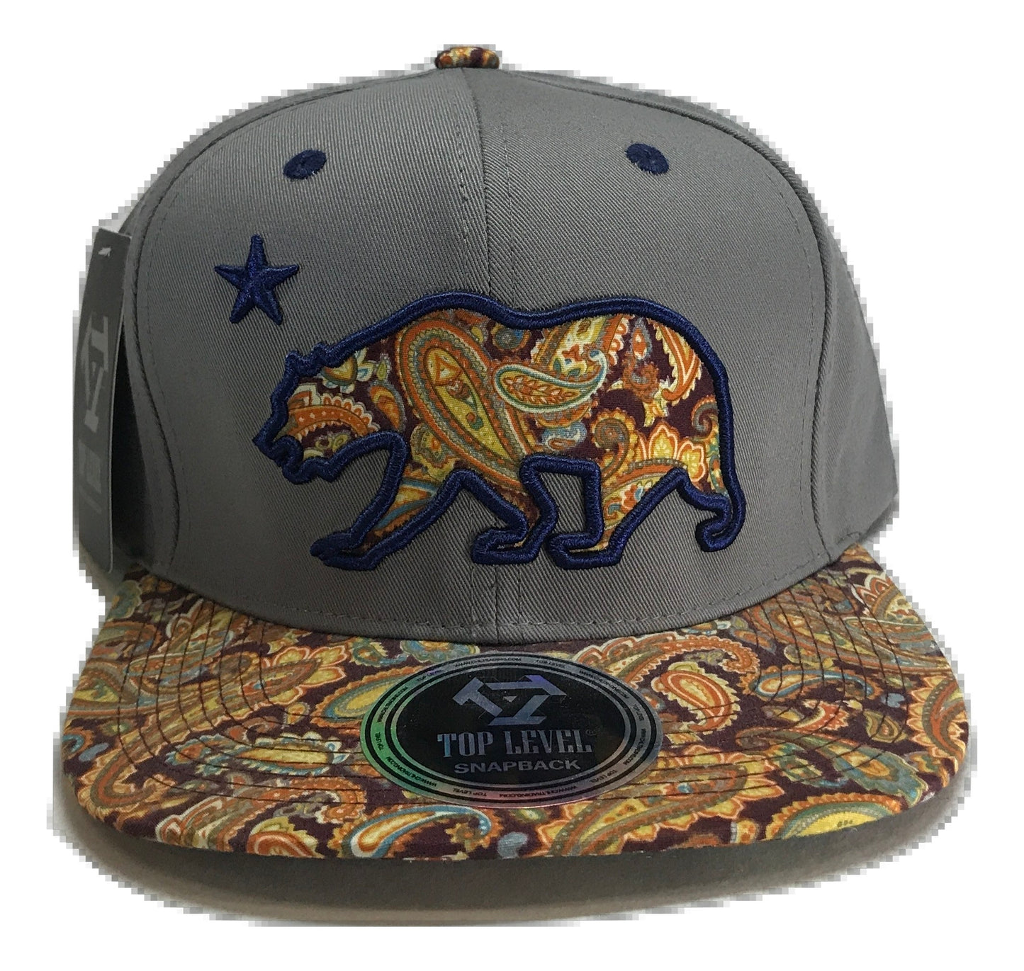 Patterned California Republic Snapback Multi Color