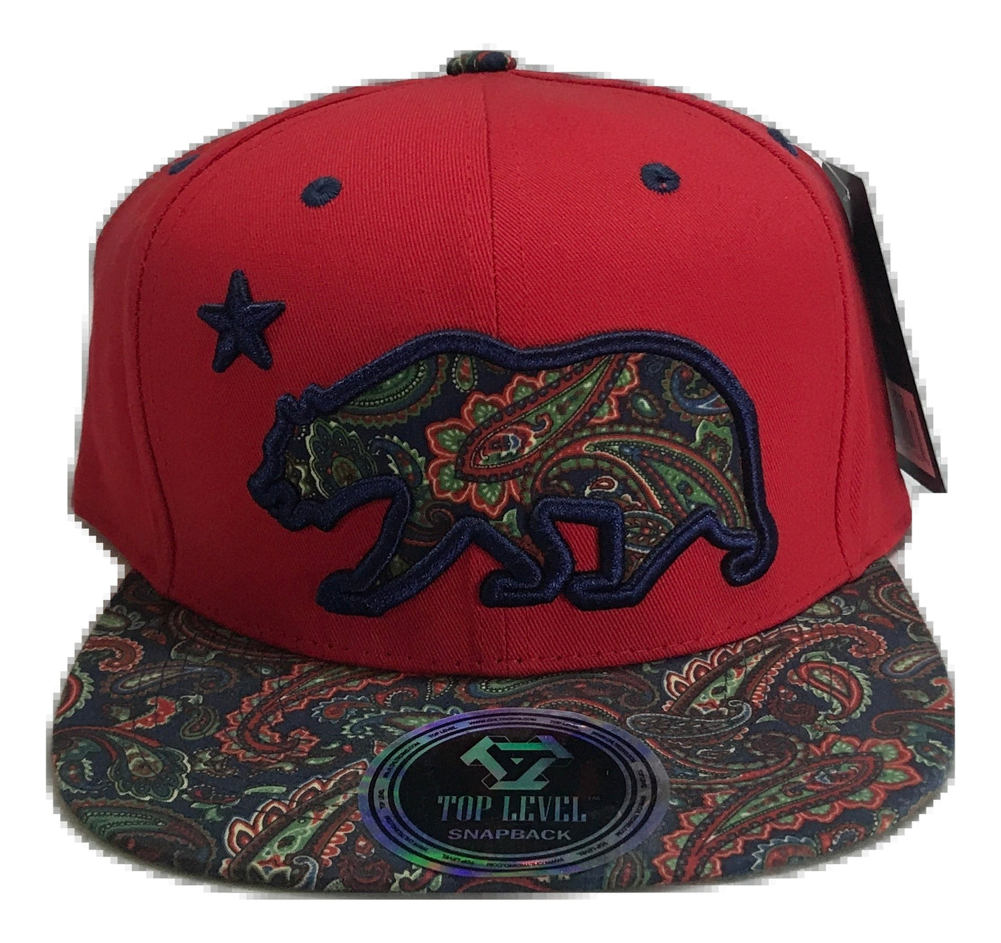 Patterned California Republic Snapback Multi Color
