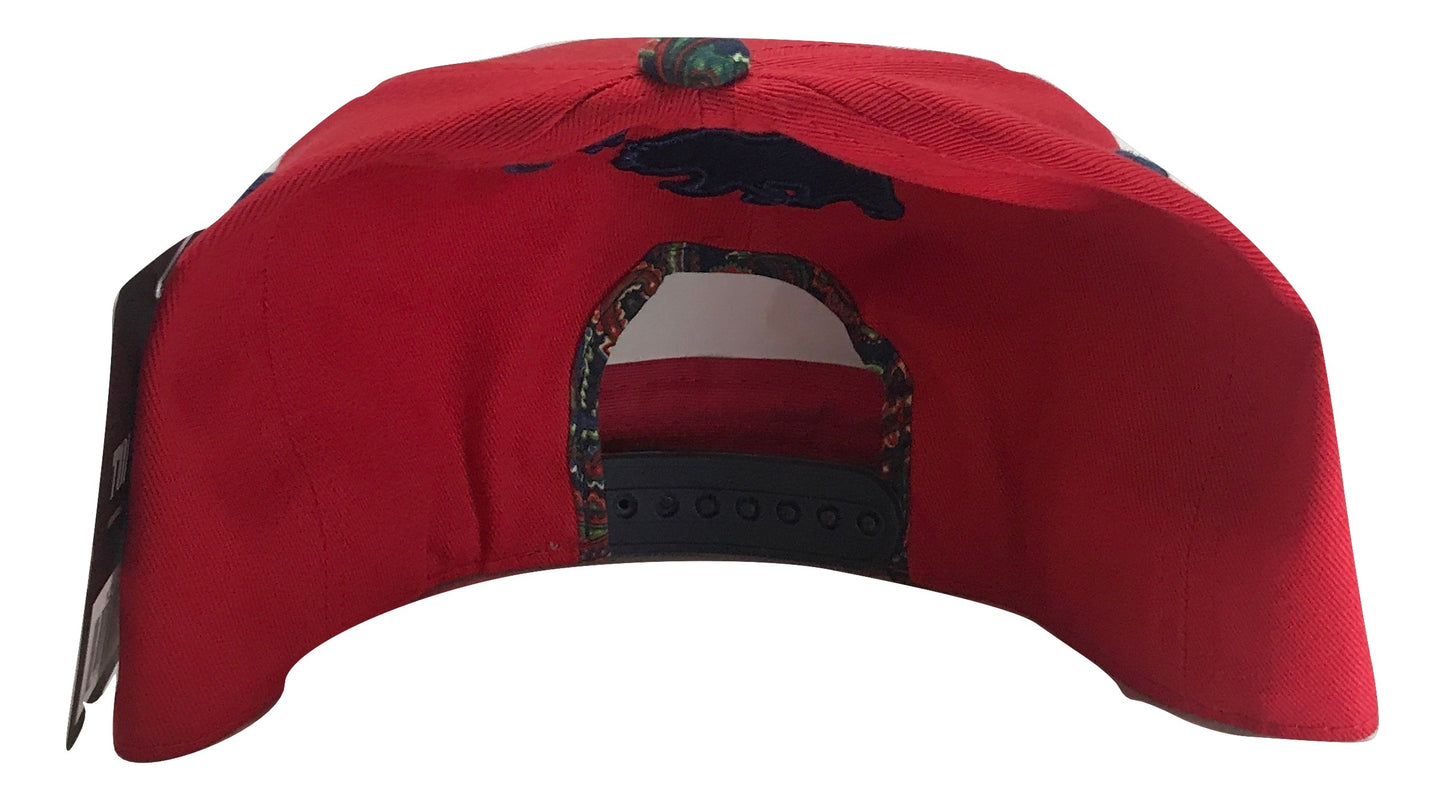 Patterned California Republic Snapback Multi Color