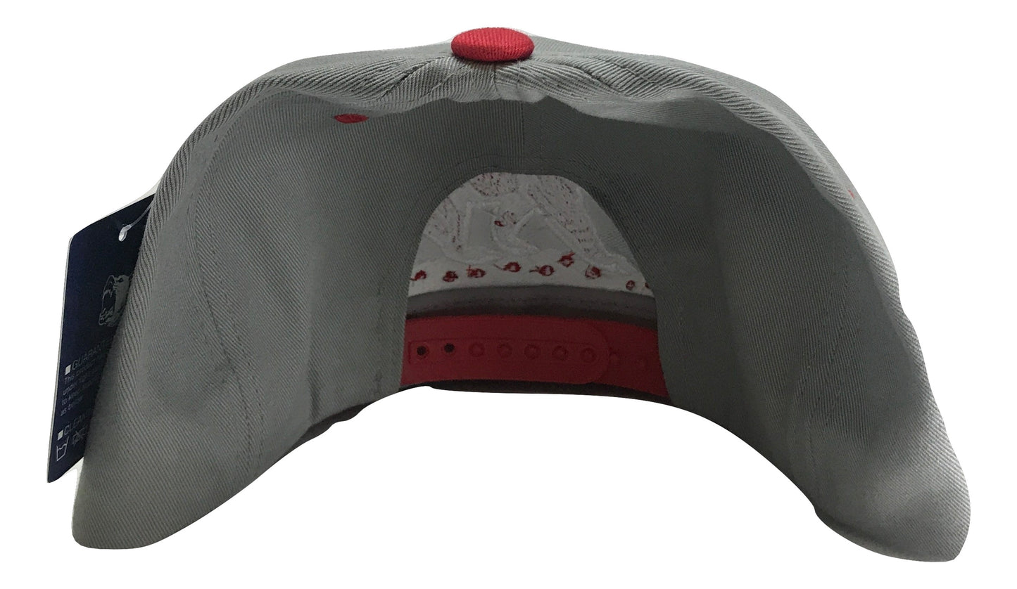 California Republic Snapback | Multi Color