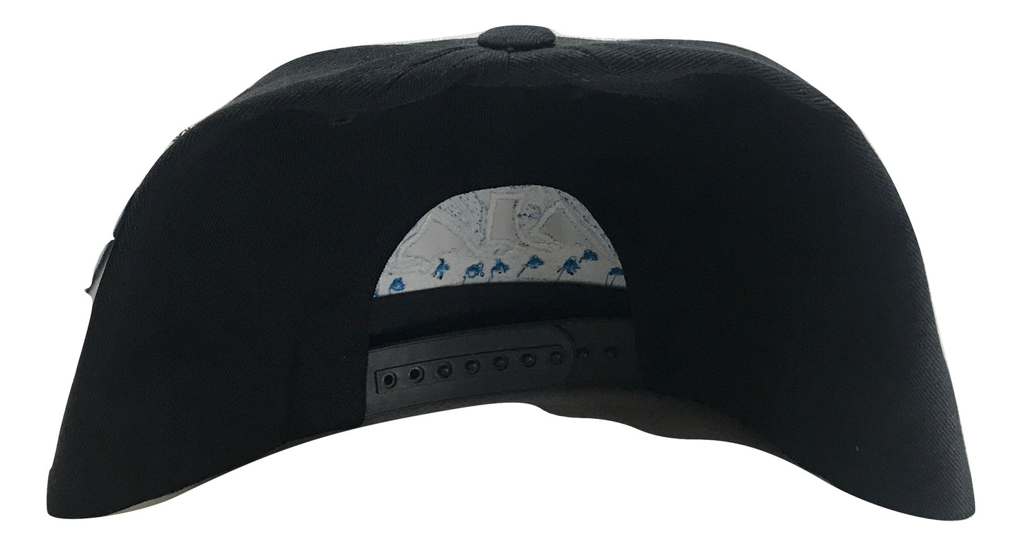 California Republic Snapback | Multi Color