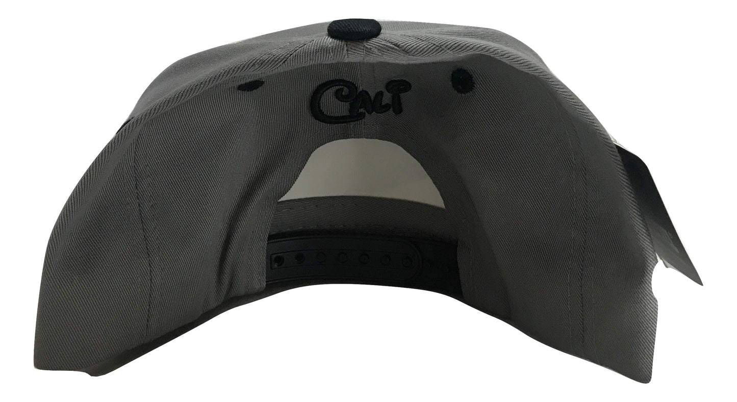 California Cali Disney Themed Snapback Multi Color