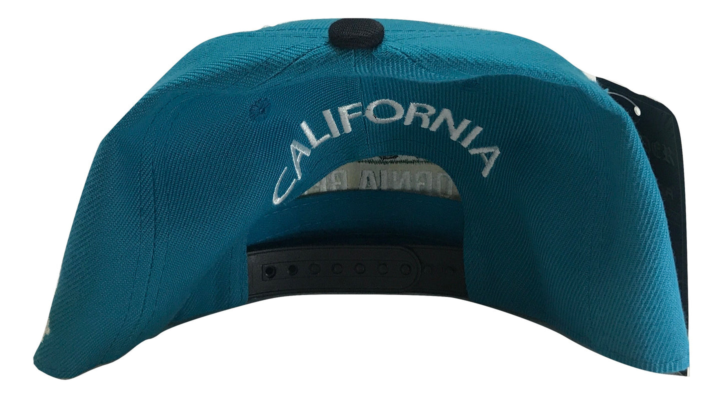 California Republic Snapback | Multi Color