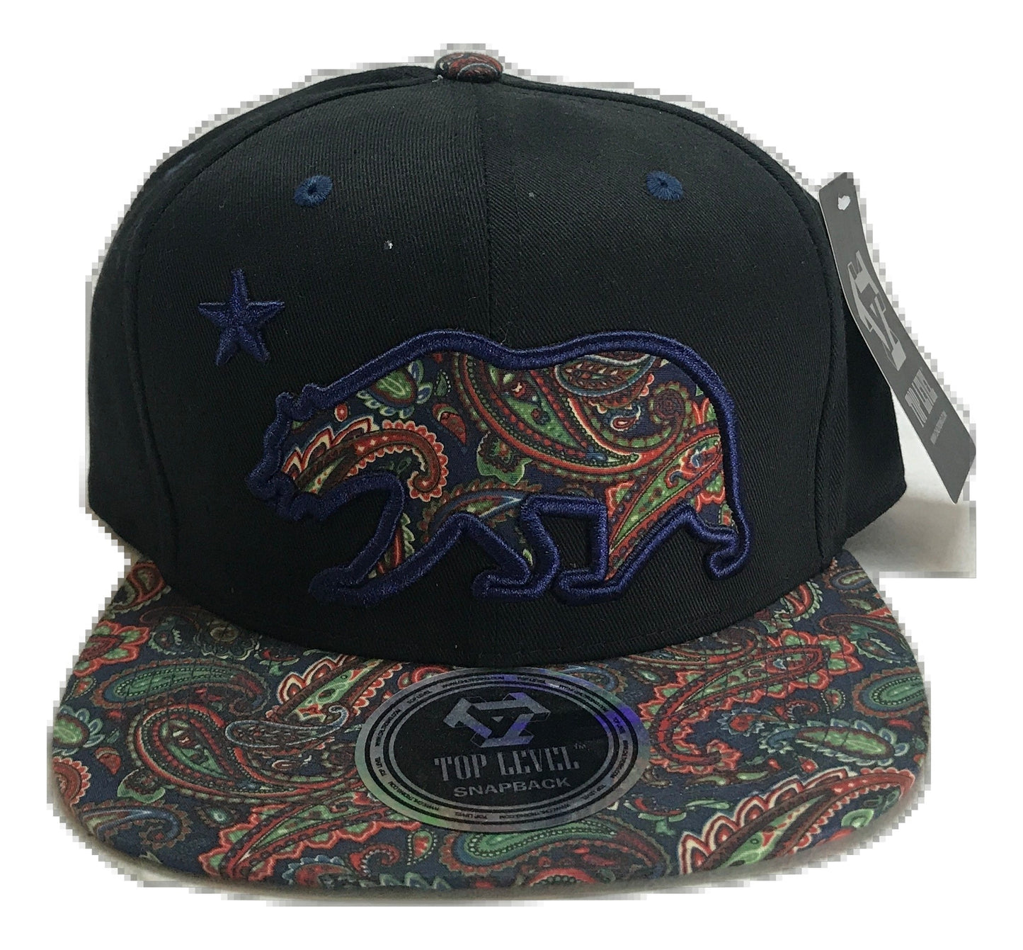 Patterned California Republic Snapback Multi Color