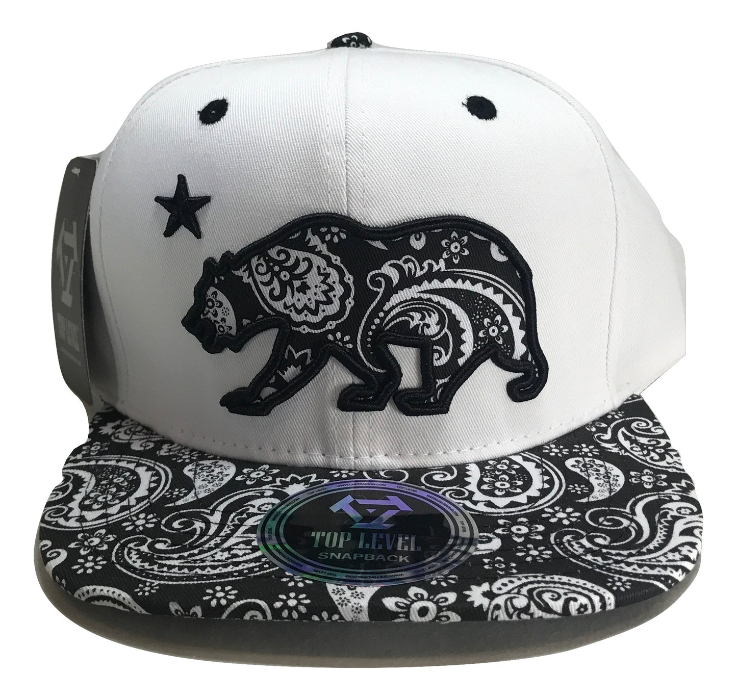 Patterned California Republic Snapback Multi Color