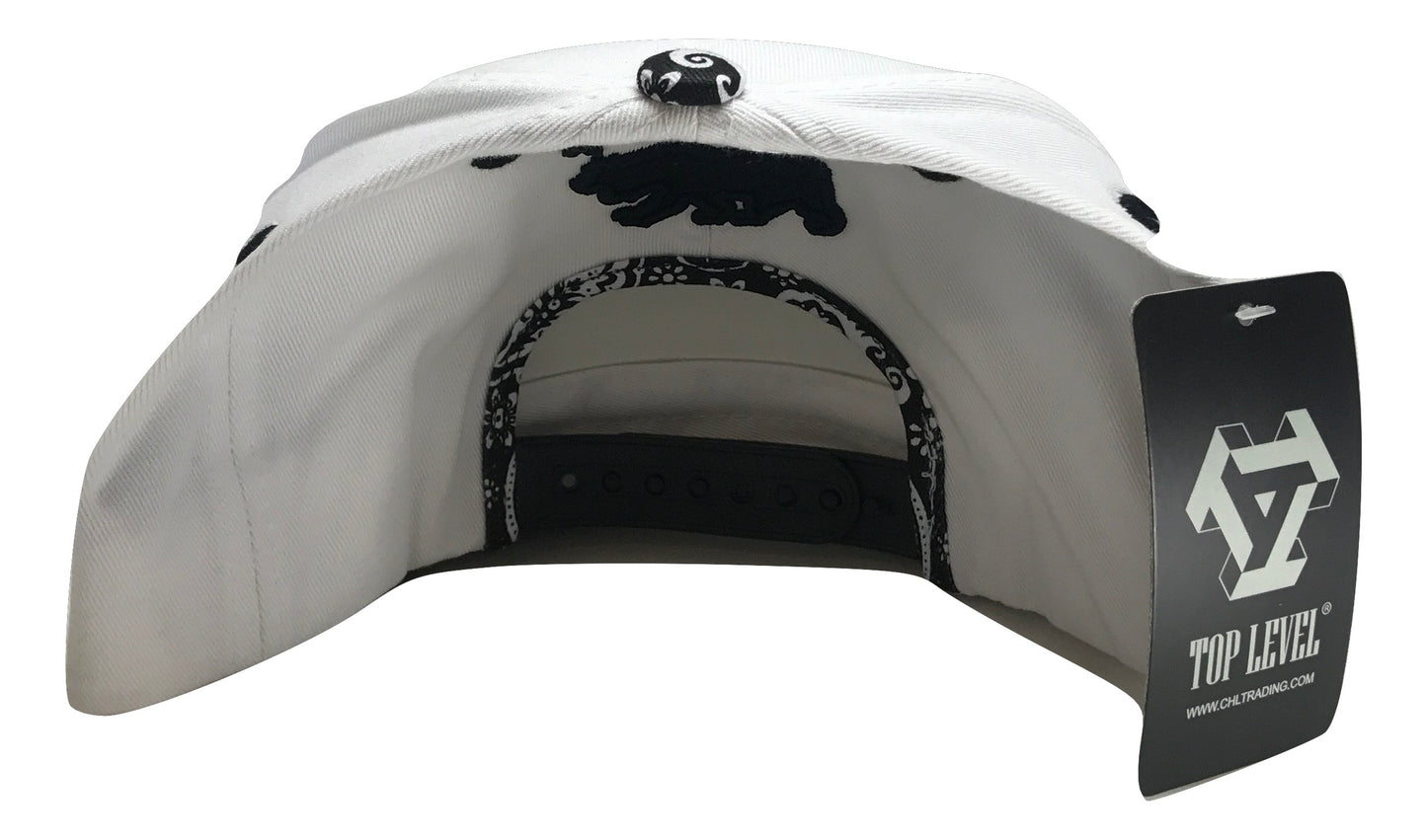 Patterned California Republic Snapback Multi Color