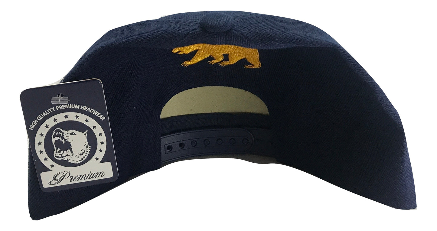 California Republic Snapback Multi Color
