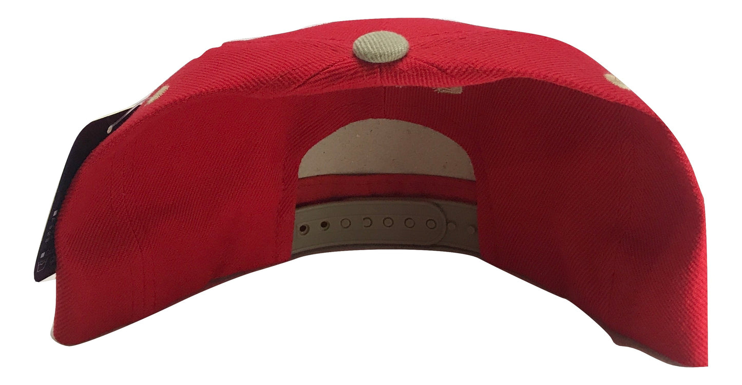 California Republic Snapback Multi Color