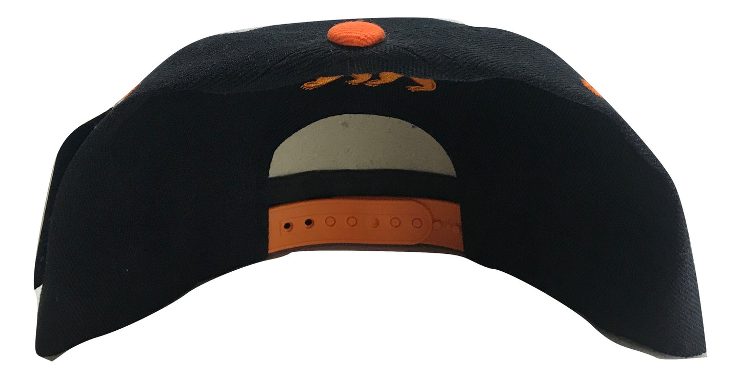 California Republic Snapback Multi Color