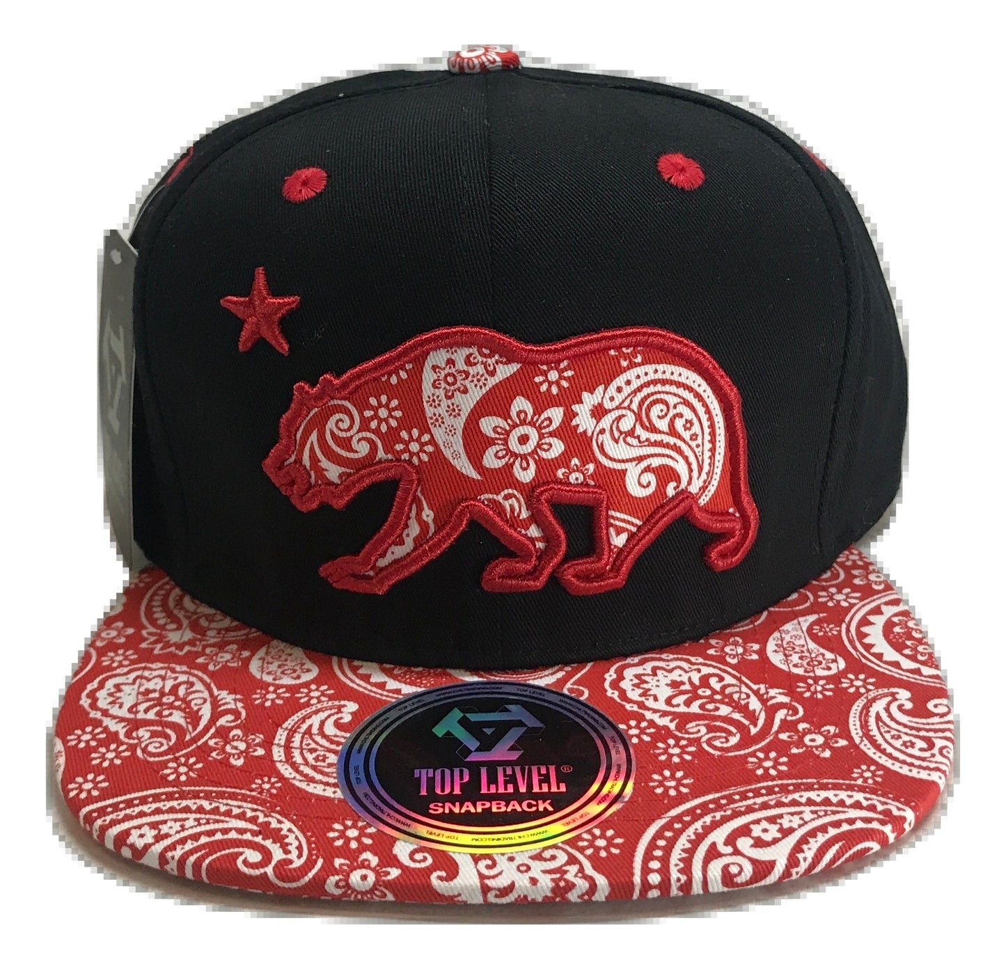 Patterned California Republic Snapback Multi Color