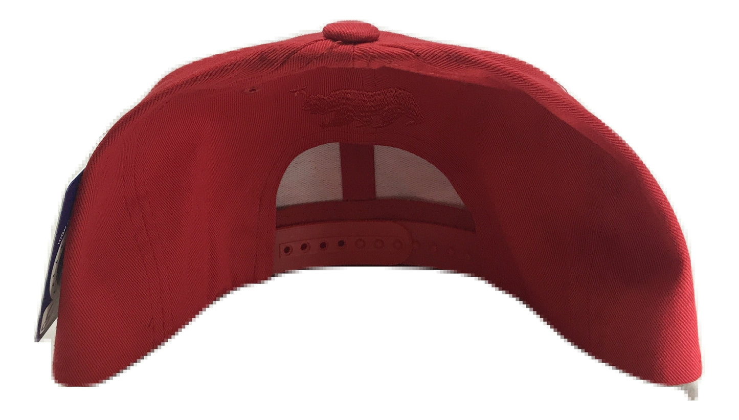 California Cali Metallic Alligator Snapback | Multi Color