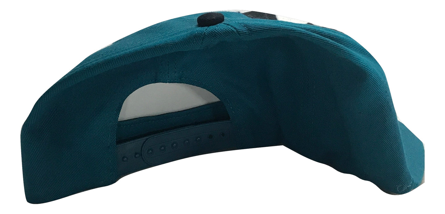 Charlotte Hornets (Multicolor) Snapback