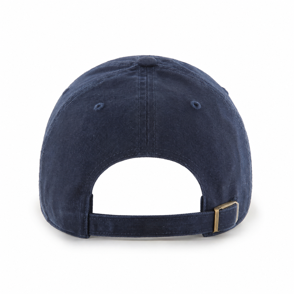 Dad Cap (Strapback)