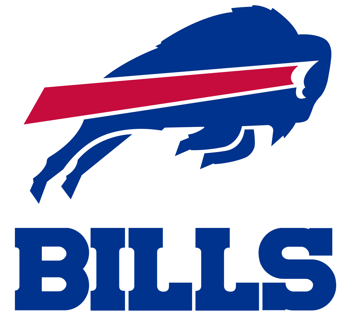 Buffalo Bills