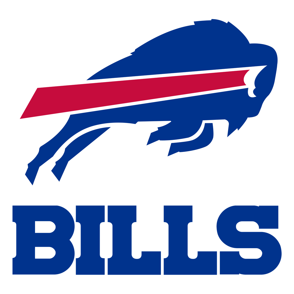 Buffalo Bills