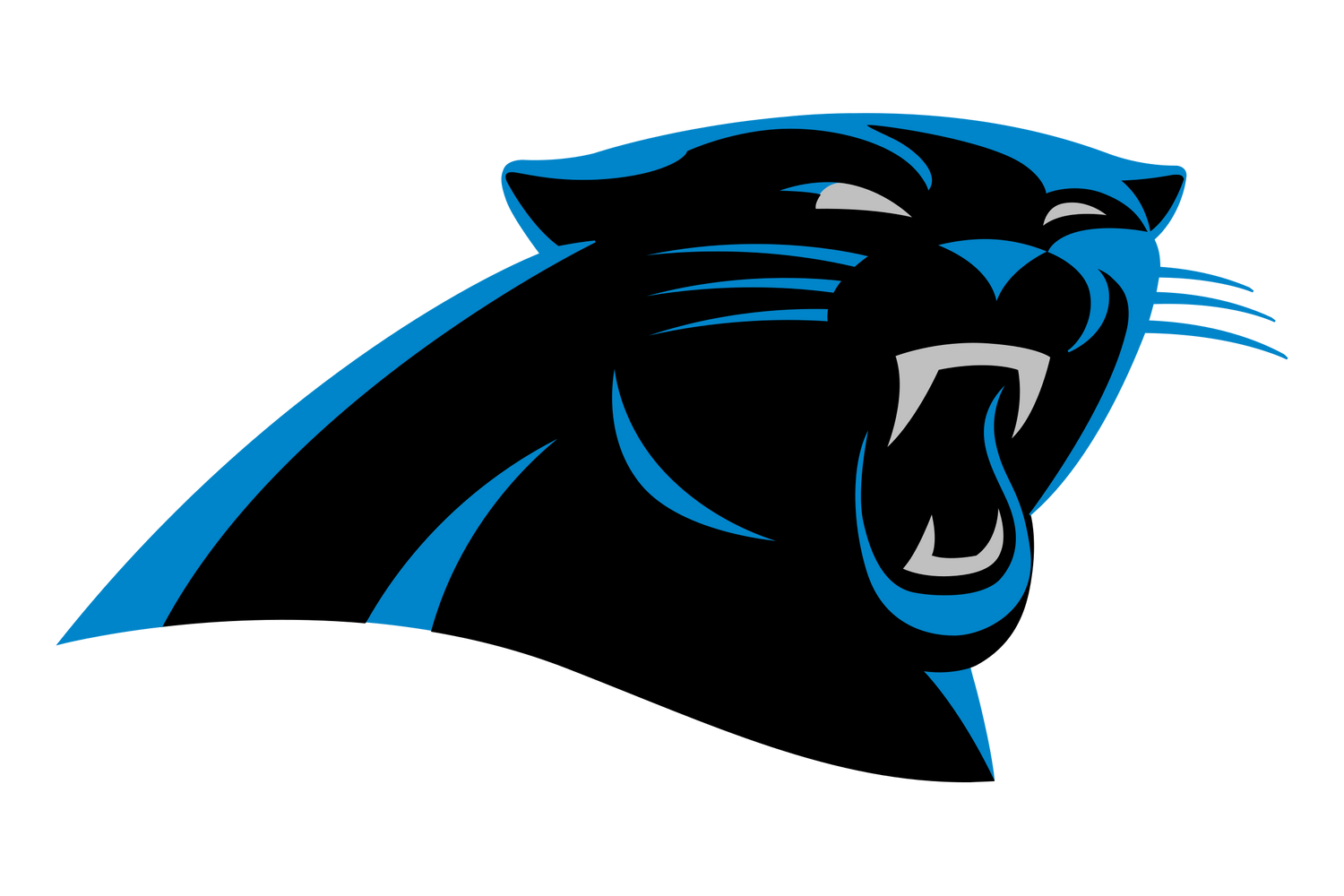 Carolina Panthers