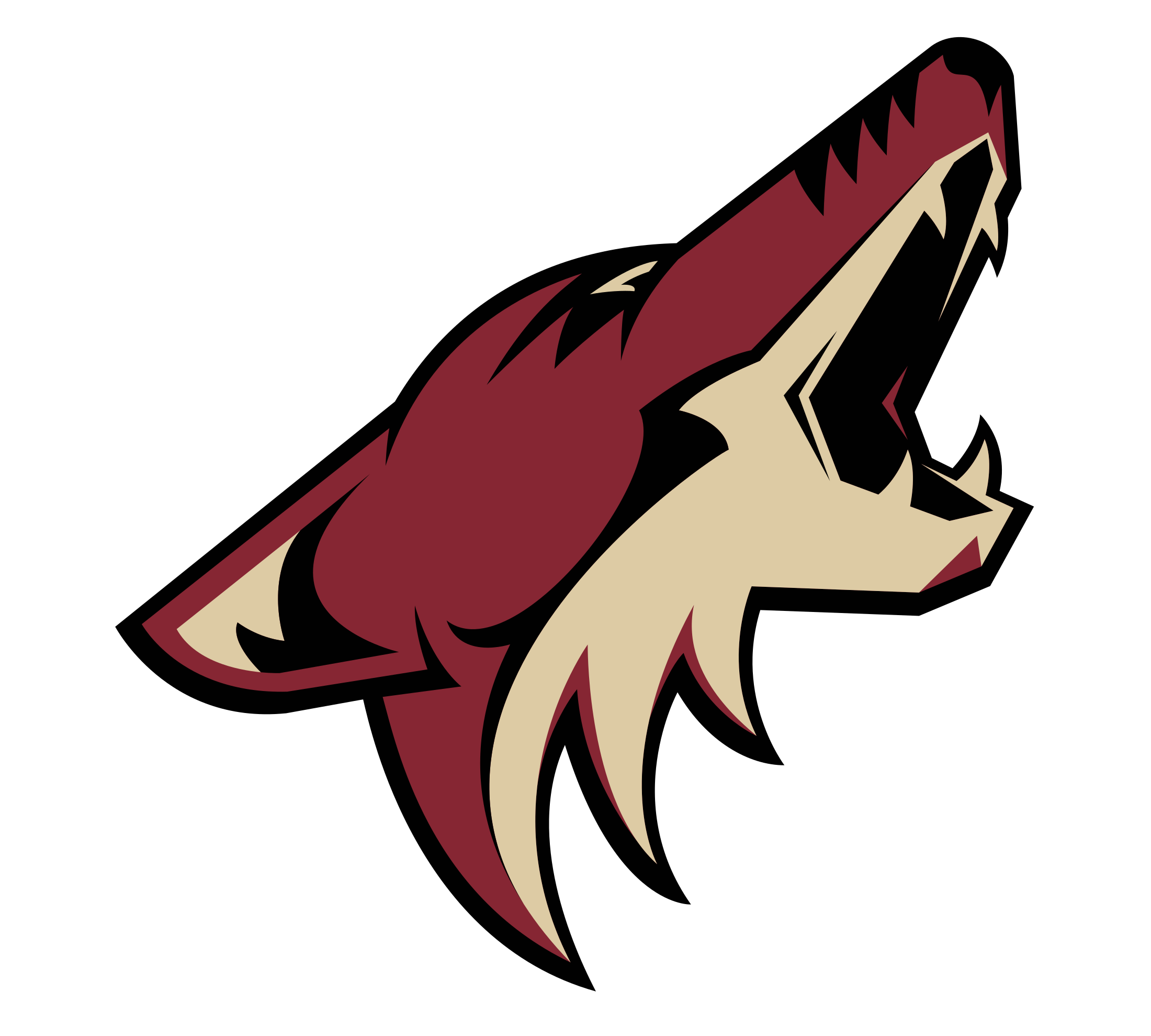 Arizona Coyote