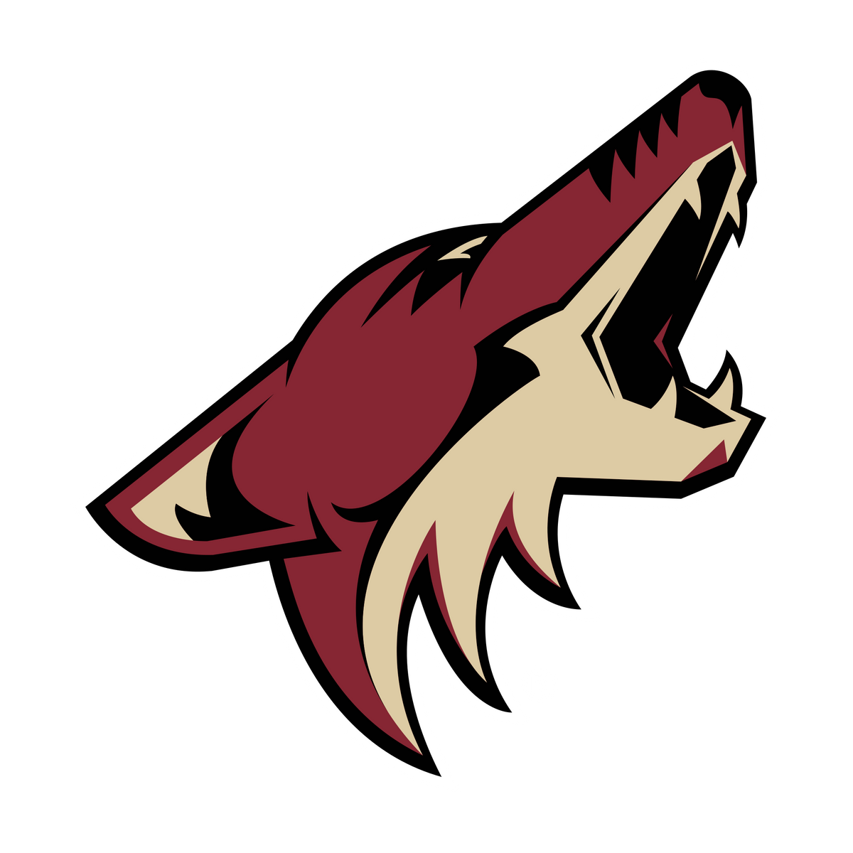 Arizona Coyote