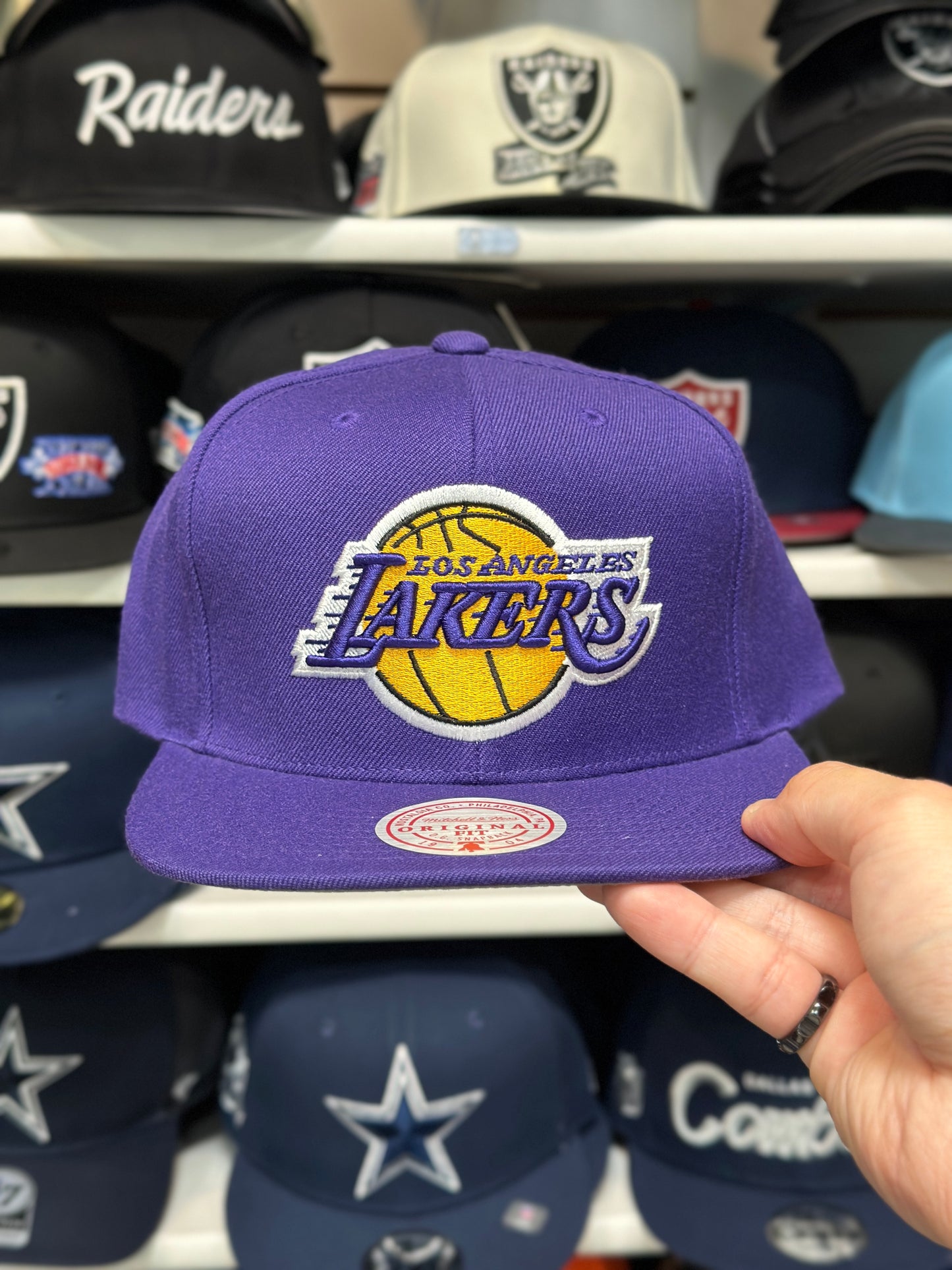 LA Lakers NBA Snapback | Mitchell & Ness Original Fit Adjustable Hat | Purple