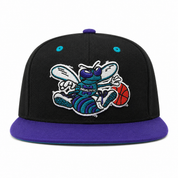 Charlotte Hornets Black/Purple Mitchell & Ness Snapback - Product Image