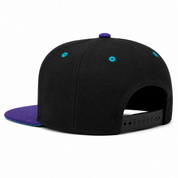 Charlotte Hornets Black/Purple Mitchell & Ness Snapback - Product Image