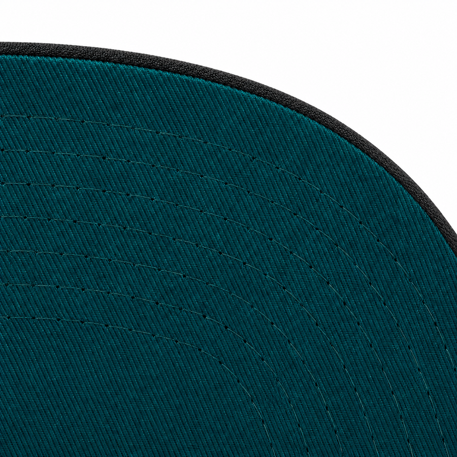 Charlotte Hornets Black/Purple Mitchell & Ness Snapback - Product Image