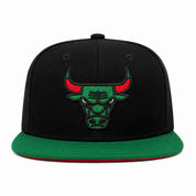 Chicago Bulls Black/Green Mitchell & Ness Snapback - Product Image