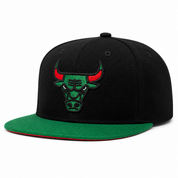 Chicago Bulls Black/Green Mitchell & Ness Snapback - Product Image