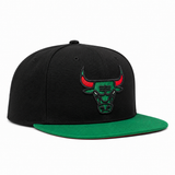 Chicago Bulls Black/Green Mitchell & Ness Snapback
