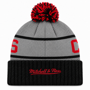 Arizona Coyote Mitchell & Ness Pom Cuff Knit Beanie - Gray/Black - Product Image