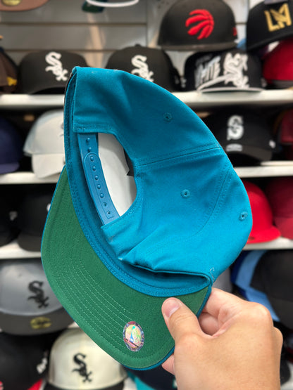 Charlotte Hornets NBA Extended Side | Vintage Mitchell & Ness Original Fit Snapback | Rare | Multicolor