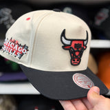 Chicago Bulls Creme/Black A-Frame Mitchell & Ness Snapback