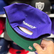 Los Angeles Lakers 'Botanical Series' Purple Mitchell & Ness Snapback - Product Image