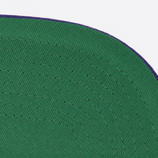 Los Angeles Lakers 'Botanical Monarch' Purple Mitchell & Ness Adjustable Original Fit Snapback - Product Image