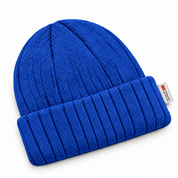 3M 40G Thinsulate Insulated Cuffed Knit Beanie - Royal Blue - Product Image