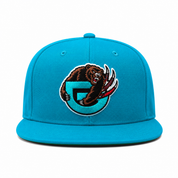 Vancouver Grizzlies Teal Mitchell & Ness Snapback - Product Image