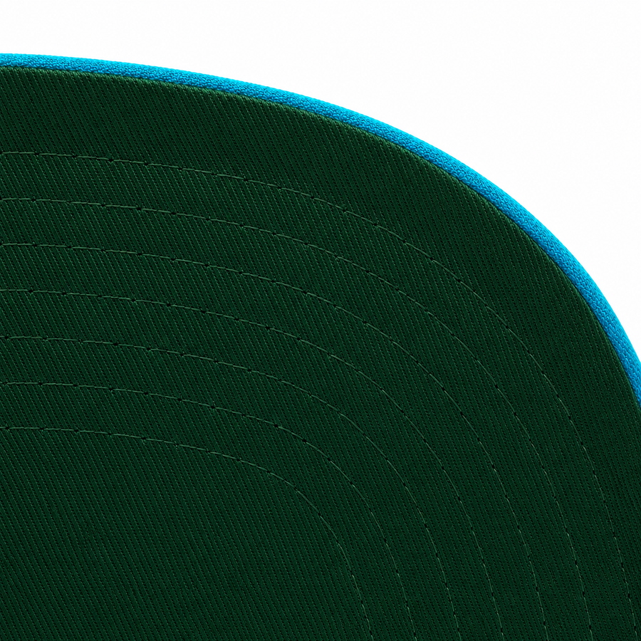 Vancouver Grizzlies Teal Mitchell & Ness Snapback - Product Image