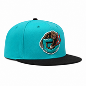 Vancouver Grizzlies Teal/Black Mitchell & Ness Snapback - Product Image