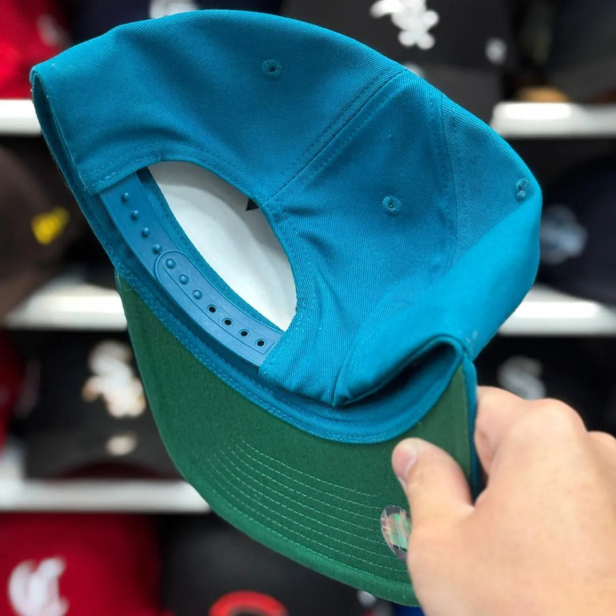 Charlotte Hornets 'Extended Side' Mitchell & Ness Snapback - Product Image