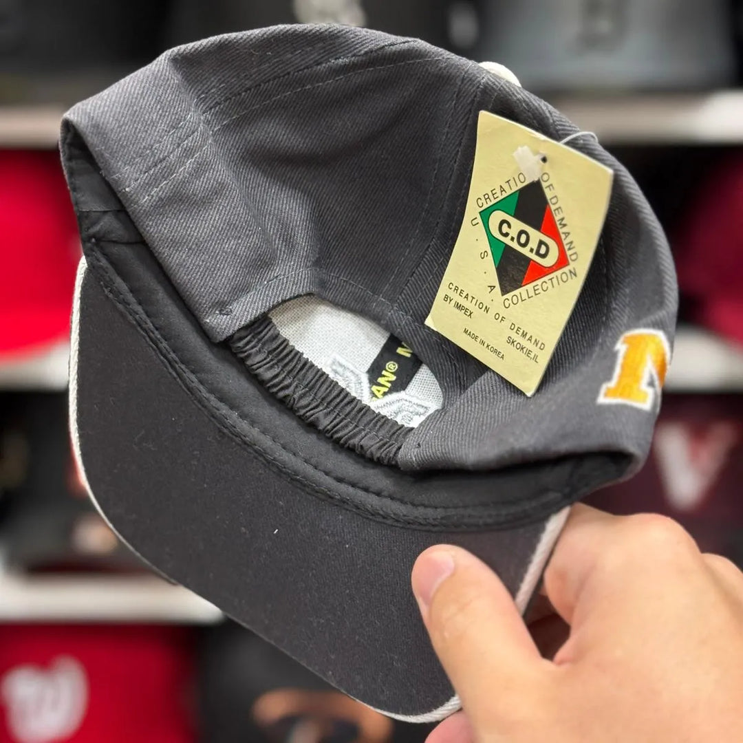 Toddler Michigan Wolverines Gray Baseball Cap - Product Image