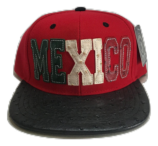 City Mexico Stitched Snapback | Multi Color