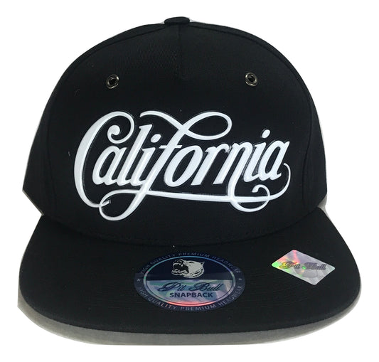 California Script Snapback | Multi Color